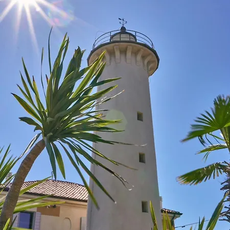 Practical In A Pool Paradise *