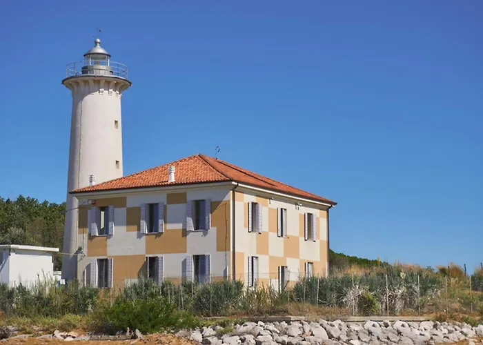 Practical In A Pool Paradise ビビオーネ