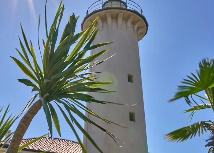 Practical In A Pool Paradise *